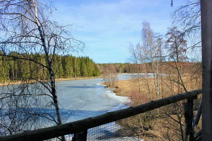 Tretopphytter Pa Grensen - Beverhytta Med Robat Og Gjeddefiske Халден Екстериор снимка